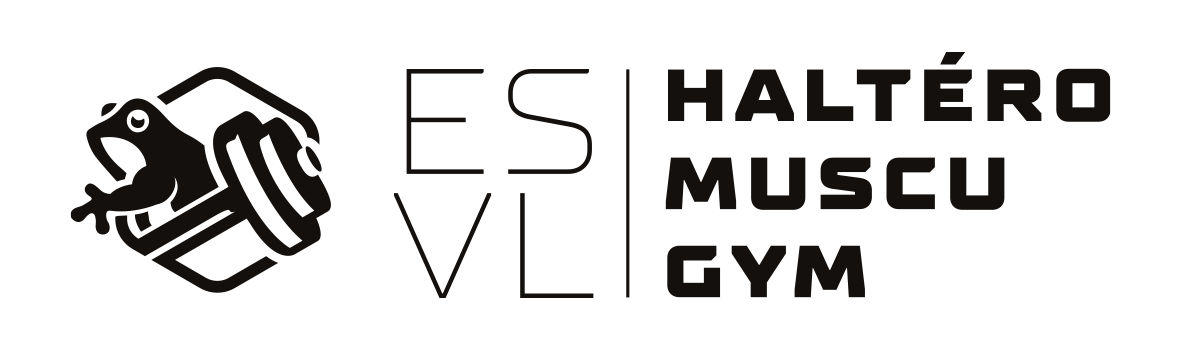 Logo de l'ESVL de couleur noir en ligne